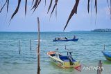 LSM KORAL: Pemberian konsesi ke Vietnam berpotensi ganggu kedaulatan