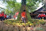 Pengunjung melihat berbagai varietas buah mangga saat Festival Mangga di Indramayu, Jawa Barat, Sabtu (19/11/2022). Festival tersebut menampilkan berbagai jenis varietas buah mangga dan produk olahannya. ANTARA FOTO/Dedhez Anggara/agr