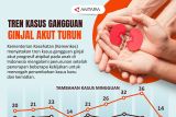 Tren kasus gangguang ginjal akut turun