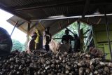 Lampung diminta kelola ubi kayu jadi bahan pangan