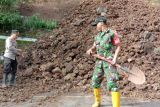 Pusuk Sembalun Lombok Timur kembali longsor