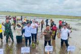 Pemerintah pacu ekstensifikasi lahan di kawasan Food Estate Kalteng