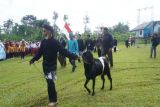 Memotong kambing kendit, melihat ritual tolak bala warga Desa Silurah