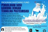 Program Matching Fund pengolahan susu kambing dengan teknologi pasteurisasi