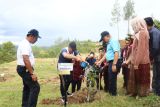 PTBA tanam pohon di Sawahlunto jalankan program penanaman serentak Menteri BUMN