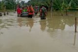 Banjir di Kabupaten Grobogan semakin meluas