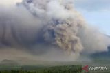 Luncuran Awan Panas Guguran (APG) Gunungapi Semeru di Lumajang, Jawa Timur, MInggu (4/12/2022). Pusat Vulkanologi dan Mitigasi Bencana Geologi (PVMBG) menaikkan status Gunungapi Semeru dari ÔSiagaÕ menjadi ÔAwasÕ atau dari Level III menjadi Level IV. ANTARA Jatim/Dok BNPB/Zk