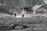Warga mengevakuasi kambing di atas timbunan material awan panas guguran (APG) Gunung Semeru di Dusun Kajar Kuning, Desa Sumberwuluh, Lumajang, Jawa Timur, Senin (5/12/2022). Akibat awan panas guguran Gunung Semeru tersebut puluhan rumah warga rusak dan ratusan warga mengungsi. ANTARA Jatim/Umarul Faruq/zk 