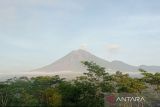 Gunung Semeru masih terus erupsi setiap hari