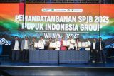 Tahun depan, Pupuk Indonesia salurkan pupuk subsidi lewat 1.013 distributor