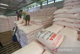 Pekerja mengangkut karung pupuk urea di gudang lini 3 Jatibarang pupuk Kujang, Indramayu, Jawa Barat, Senin (19/12/2022). Kementerian Pertanian menyatakan total alokasi pupuk subsidi tahun 2023 sebanyak 9 juta ton yang terdiri dari 5,5 juta ton urea dan3,2 juta ton NPK dan 221 ribu ton NPK formula khusus. ANTARA FOTO/Dedhez Anggara/agr