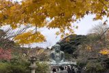 Kamakura, destinasi wisata menarik di Tokyo