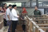 Utusan Khusus Presiden kunjungi Sleman untuk membangun ketahanan pangan