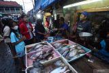 Warga memilih ikan di Pasar Ikan Pabean Surabaya, Jawa Timur, Jumat (30/12/2022). Menjelang tahun baru pasar ikan itu ramai diserbu warga yang membeli sejumlah jenis ikan meskipun harga sejumlah jenis ikan laut mengalami kenaikan bervariasi disebabkan gelombang air laut tinggi dan cuaca ekstrim. Antara Jatim/Didik Suhartono
