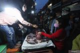 Warga memilih ikan di Pasar Ikan Pabean Surabaya, Jawa Timur, Jumat (30/12/2022). Menjelang tahun baru pasar ikan itu ramai diserbu warga yang membeli sejumlah jenis ikan meskipun harga sejumlah jenis ikan laut mengalami kenaikan bervariasi disebabkan gelombang air laut tinggi dan cuaca ekstrim. Antara Jatim/Didik Suhartono