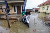 Warga melintasi genangan banjir rob di desa Kertawangunan, Kandanghaur, Indramayu, Jawa Barat, Sabtu (31/12/2022). Banjir rob akibat gelombang tinggi merendam ratusan rumah warga di desa tersebut. ANTARA FOTO/Dedhez Anggara/agr
