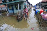 Warga melintasi genangan banjir rob di desa Kertawangunan, Kandanghaur, Indramayu, Jawa Barat, Sabtu (31/12/2022). Banjir rob akibat gelombang tinggi merendam ratusan rumah warga di desa tersebut. ANTARA FOTO/Dedhez Anggara/agr