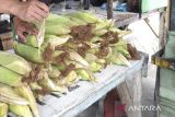 Jelang malam pergantian tahun, harga jagung manis mengalami kenaikan