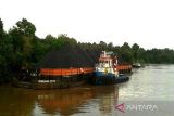 Walhi Jambi catat telah terjadi darurat DAS Batang Hari