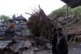 Warga mengamati pohon yang tumbang dan menimpa atap bangunan parkir di kawasan Pasar Agung Peninjoan, Denpasar, Bali, Senin (2/1/2023). Data sementara Pemerintah Kota Denpasar menyebutkan sedikitnya terdapat 20 titik lokasi pohon tumbang akibat dampak angin kencang dan kejadian tersebut masih dalam penanganan serta pendataan oleh petugas BPBD setempat. ANTARA FOTO/Nyoman Hendra Wibowo/nym.