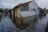 Banjir Di Kota Pekalongan