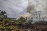 Kebakaran Hutan Dan Lahan Di Kotawaringin Barat