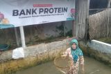 Dompet Dhuafa Jawa Barat gulirkan program budi daya ikan