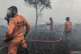 Waspadai potensi kebakaran hutan dan lahan di Sumatra