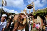 Sejumlah pemuda menampilkan tarian Barong di depan pintu rumah warga saat melakukan tradisi Ngelawang di Desa Wisata Penglipuran, Bangli, Bali, Rabu (4/1/2023). Tradisi menari berkeliling wilayah desa yang dilakukan antara Hari Raya Galungan dan Kuningan tersebut dilakukan untuk menolak bala serta menetralisir alam semesta. ANTARA FOTO/Fikri Yusuf/nym.