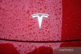 Model S dan X Tesla tak tersedia di beberapa negara di Asia-Pasifik
