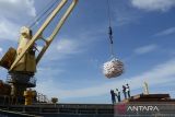 Buruh pelabuhan menurunkan beras impor asal Vietnam  di Pelabuhan Malahayati, Kabupaten Aceh Besar, Aceh, Kamis (5/1/2023).  Perum Bulog mengimpor sebanyak 500.000  ton beras asal Vietnam yang masuk secara bertahap sampai  Februari 2023 dan  sebanyak 200.000 ton di antaranya sudah tiba akhir tahun 2022 untuk pemenuhan stok cadangan beras Pemerintah (CBP). ANTARA FOTO/Ampelsa.