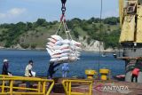 Buruh pelabuhan menurunkan beras impor asal Vietnam  di Pelabuhan Malahayati, Kabupaten Aceh Besar, Aceh, Kamis (5/1/2023).  Perum Bulog mengimpor sebanyak 500.000  ton beras asal Vietnam yang masuk secara bertahap sampai  Februari 2023 dan  sebanyak 200.000 ton di antaranya sudah tiba akhir tahun 2022 untuk pemenuhan stok cadangan beras Pemerintah (CBP). ANTARA FOTO/Ampelsa.