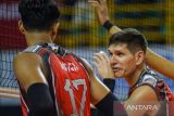 Pebola voli putra Surabaya BIN Samator Paulo Barbosa (kanan) memberikan kode kepada rekan setimnya Angga Anggara (kiri) saat bertanding melawan tim Kudus Sukun Badak pada pertandingan Seri I putaran pertama Proliga 2023 di SOR Jalak harupat, Soreang, Kabupaten Bandung, Jawa Barat, Sabtu (7/1/2023). Surabaya BIN Samator mengalahkan Kudus Sukun Badak dengan skor 3-1 (19-25, 25-18, 16-25, 22-25). ANTARA FOTO/Raisan Al Farisi/agr
