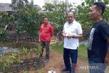 Wabup Banyumas harapkan Pemdes  Dawuhan Kulon kembangkan agrowisata