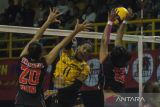 Pebola voli putri Bandung bjb Tandamata Guillen Paredez (tengah) melakukan spike yang dihadang dua pebola voli putri Jakarta BIN Tisya Amalia (kanan) dan Shintia Alliva (kiri) pada pertandingan putaran pertama Proliga 2023 di SOR Jalak harupat, Soreang, Kabupaten Bandung, Jawa Barat, Minggu (8/1/2023). Tim bola voli putri Bandung BJB Tandamata berhasil menang dengan skor akhir 3-0 (25-16, 25-19 dan 25-16). ANTARA FOTO/Novrian Arbi/agr