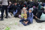 Sejumlah imigran etnis Rohingya terdampar di pantai desa Kampung Baru, Kecamatan Masjid Raya, Kabupaten Aceh, Besar, Aceh, Minggu (8/1/2023). Sebanyak 184 imigran etnis Rohingya terdiri dari sebanyak 69 laki laki dewasa, 75 perempuan dewasa, dan 40 anak anak terdampar di pantai Kabupaten Aceh Besar. ANTARA FOTO/Ampelsa/YU