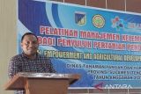 Pemprov Sulteng  kembangkan pertanian guna jadi pemasok logistik IKN