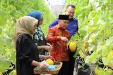Gubernur Kalteng dorong pemuda perkuat pertanian untuk ketahanan pangan