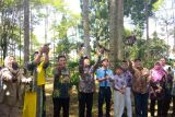 Arboretum Kalianget jadi wisata edukatif di Wonosobo