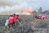 Kawasan savana Taman Nasional RAW di Sultra terbakar