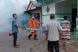 Dinkes - Karang Taruna Kota Kupang lakukan pengasapan cegah DBD