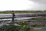 Sebagian besar abu vulkanis Gunung Kerinci jatuh ke Solok Selatan