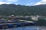 Kadar oksigen di Danau Ranau kembali normal kasus kematian ikan berkurang