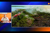 Penyebab kebakaran lahan lima hektare di Danau Malawen Barito Selatan