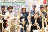 Pemkab Gumas dorong petani manfaatkan lahan secara terpadu