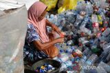 Warga mengumpulkan sampah botol plastik yang telah dibersihkan untuk didaur ulang di Banda Aceh, Aceh, Jumat (20/1/2023). Antara Aceh/Irwansyah Putra.