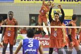 Proliga 2023 - Laga Bhayangkara Presisi vs Pertamina Pertamax jadi penentu juara