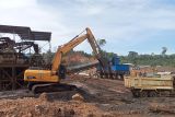 Pemkab bersama DPRD Pasbar dukung keberadaan tambang biji besi di Air Bangis