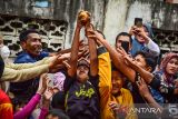 Sejumlah bocah berhasil menangkap jeruk yang dilemparkan barongsai saat perayaan Imlek di depan Vihara Buddha Sakyamuni Banda Aceh, Provinsi NAD, Minggu (22/1/2023). Antara Aceh/FB Anggoro.