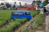 Terperosok lobang jalan, Angdes jurusan Kamang-Bukittinggi terjerembab masuk sawah